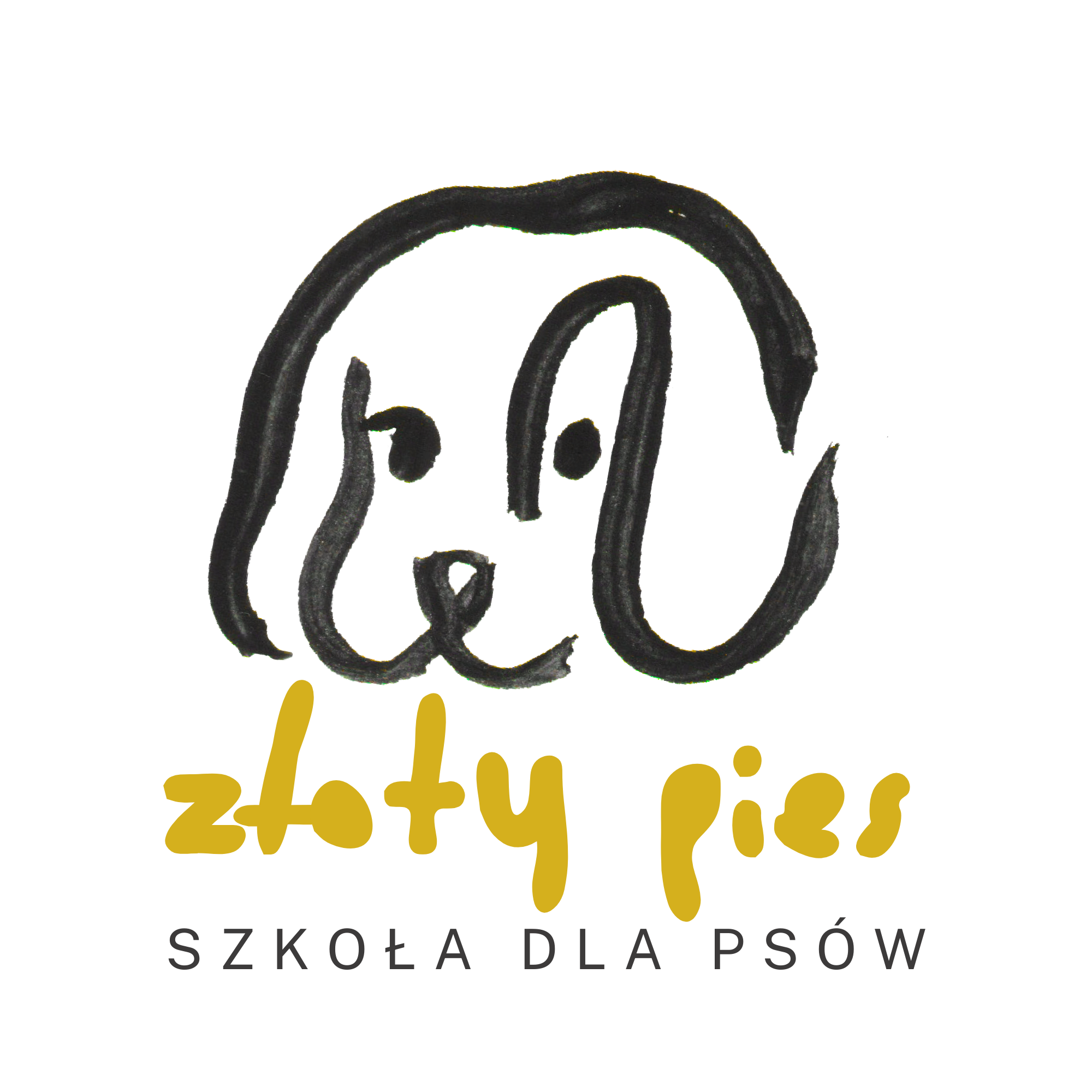 Złoty pies